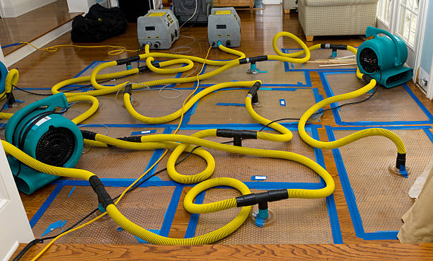 Professional Water Extraction technician working in Olathe, CO